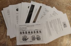 Poslední klient ONLINE